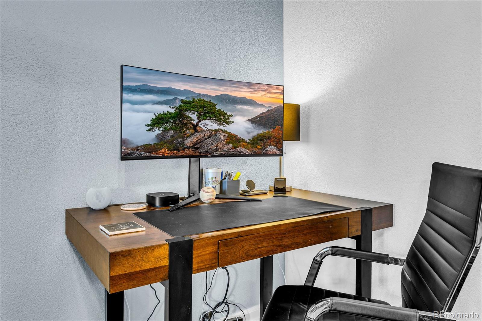 MLS Image #6 for 386  prunes place,fairplay, Colorado