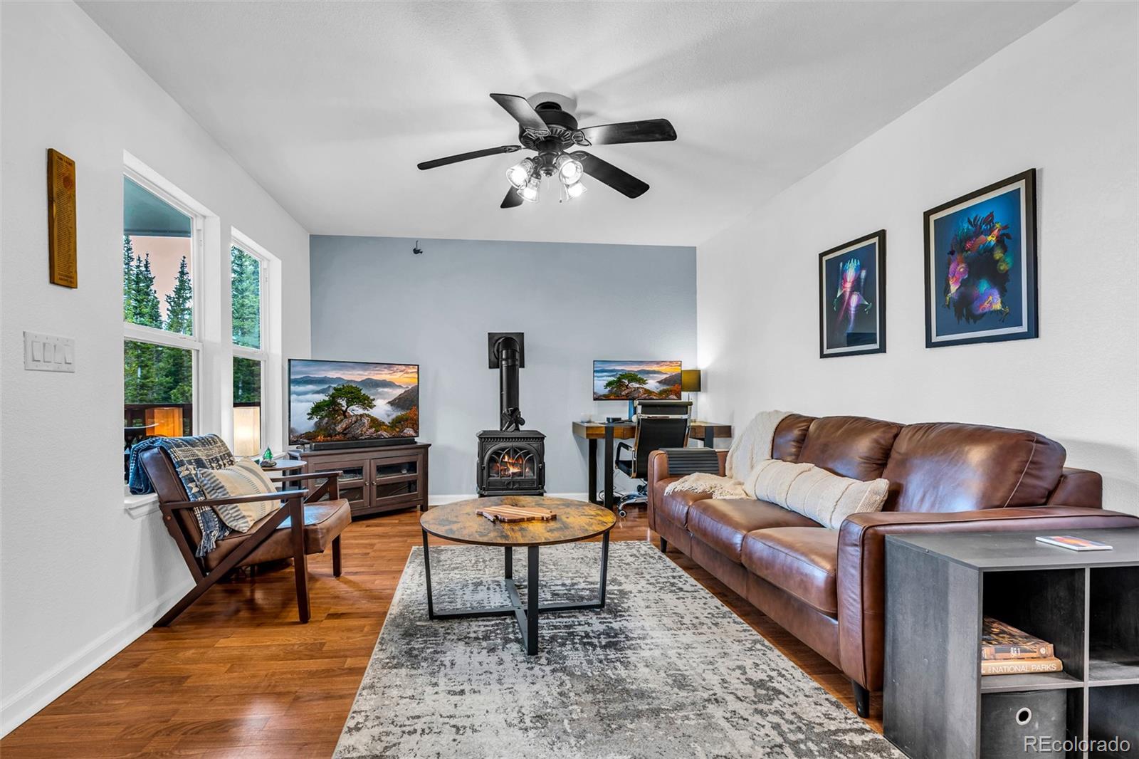 MLS Image #7 for 386  prunes place,fairplay, Colorado
