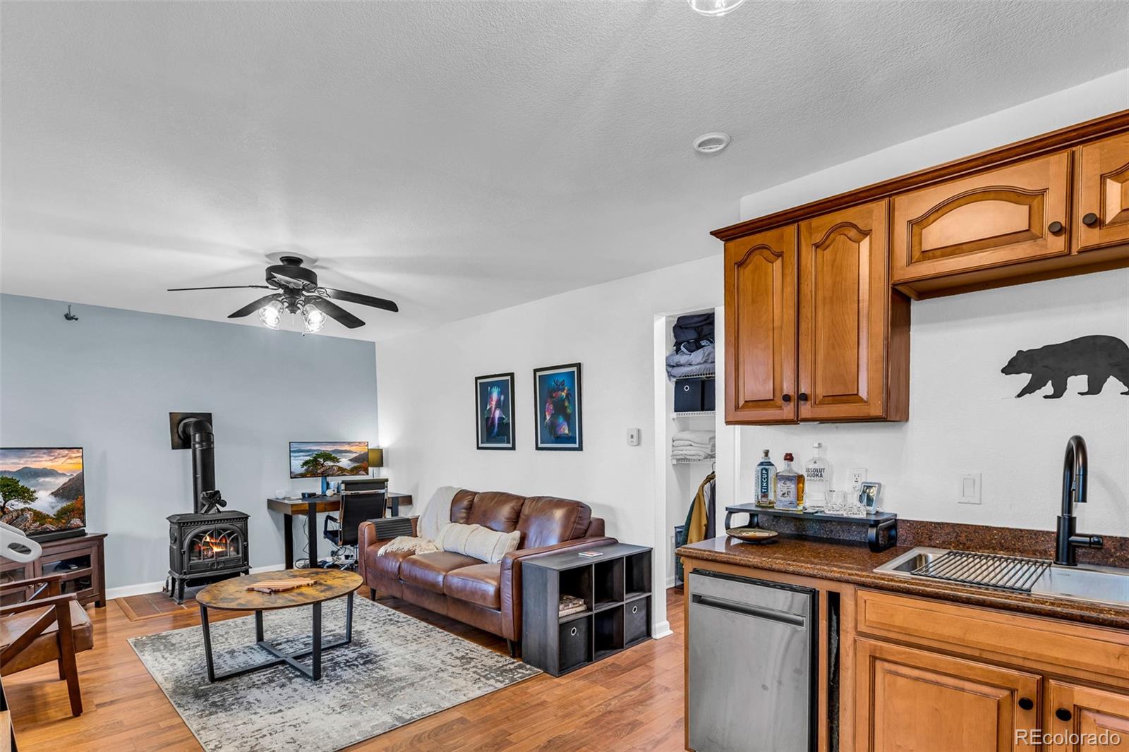 MLS Image #8 for 386  prunes place,fairplay, Colorado