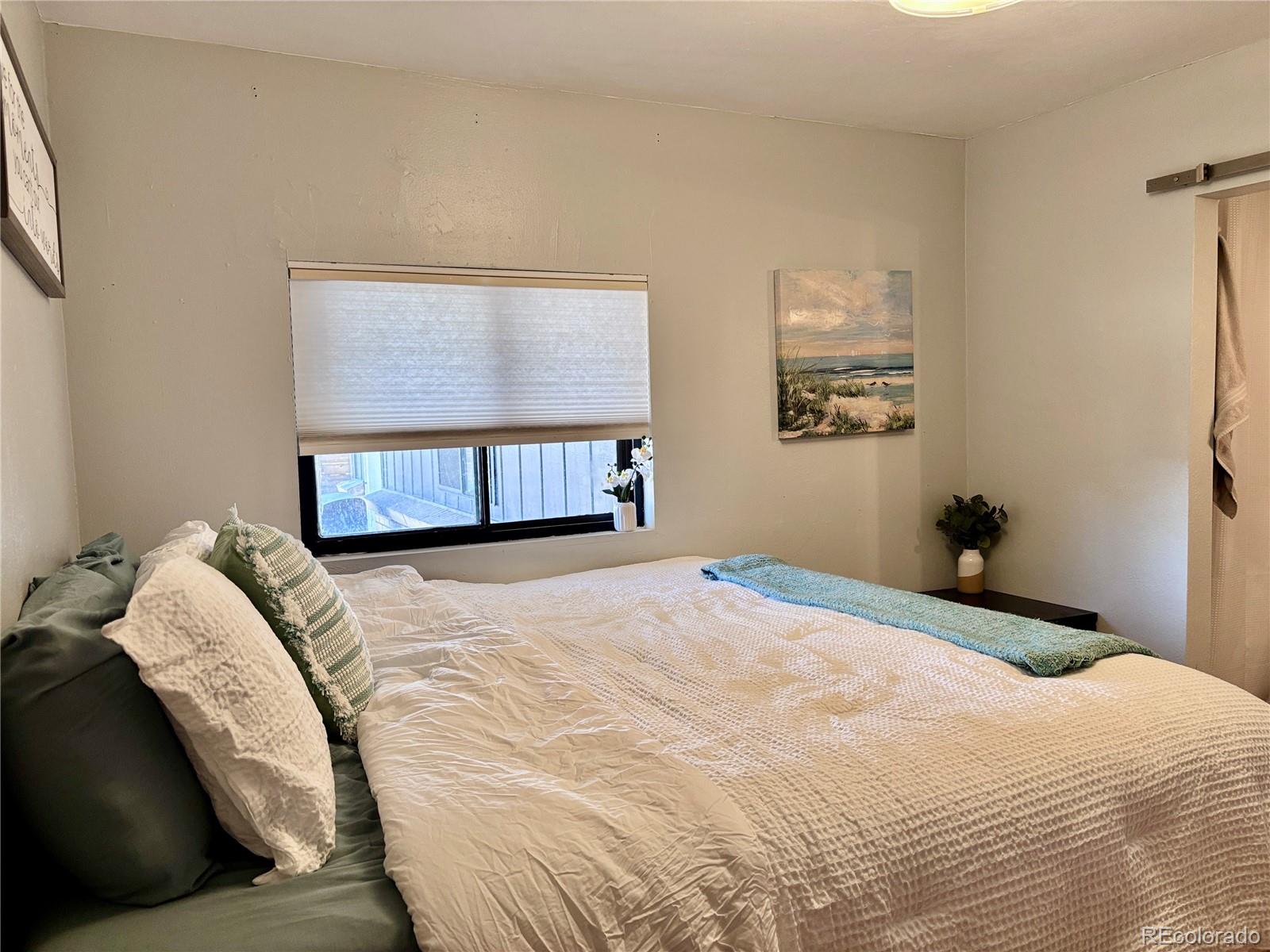 MLS Image #10 for 4175 w custer place,denver, Colorado