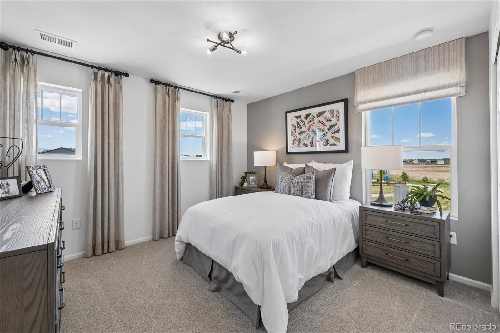 MLS Image #16 for 6401  ankina drive,windsor, Colorado