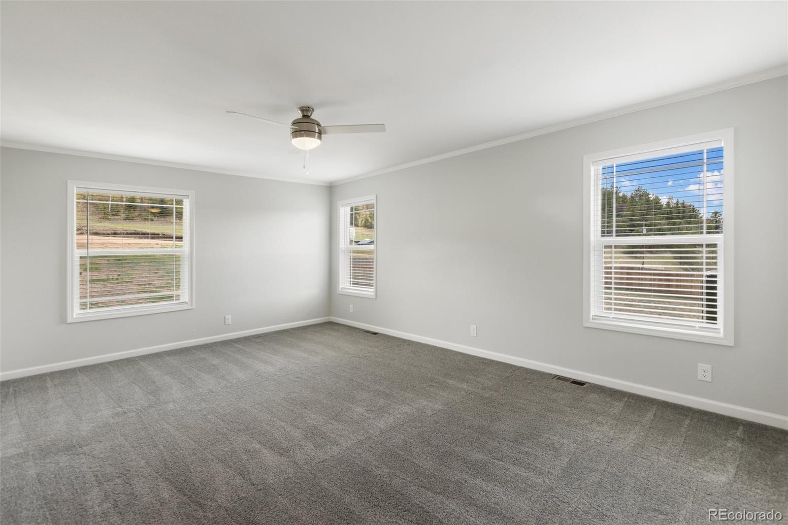 MLS Image #16 for 740  crystal peak road ,florissant, Colorado