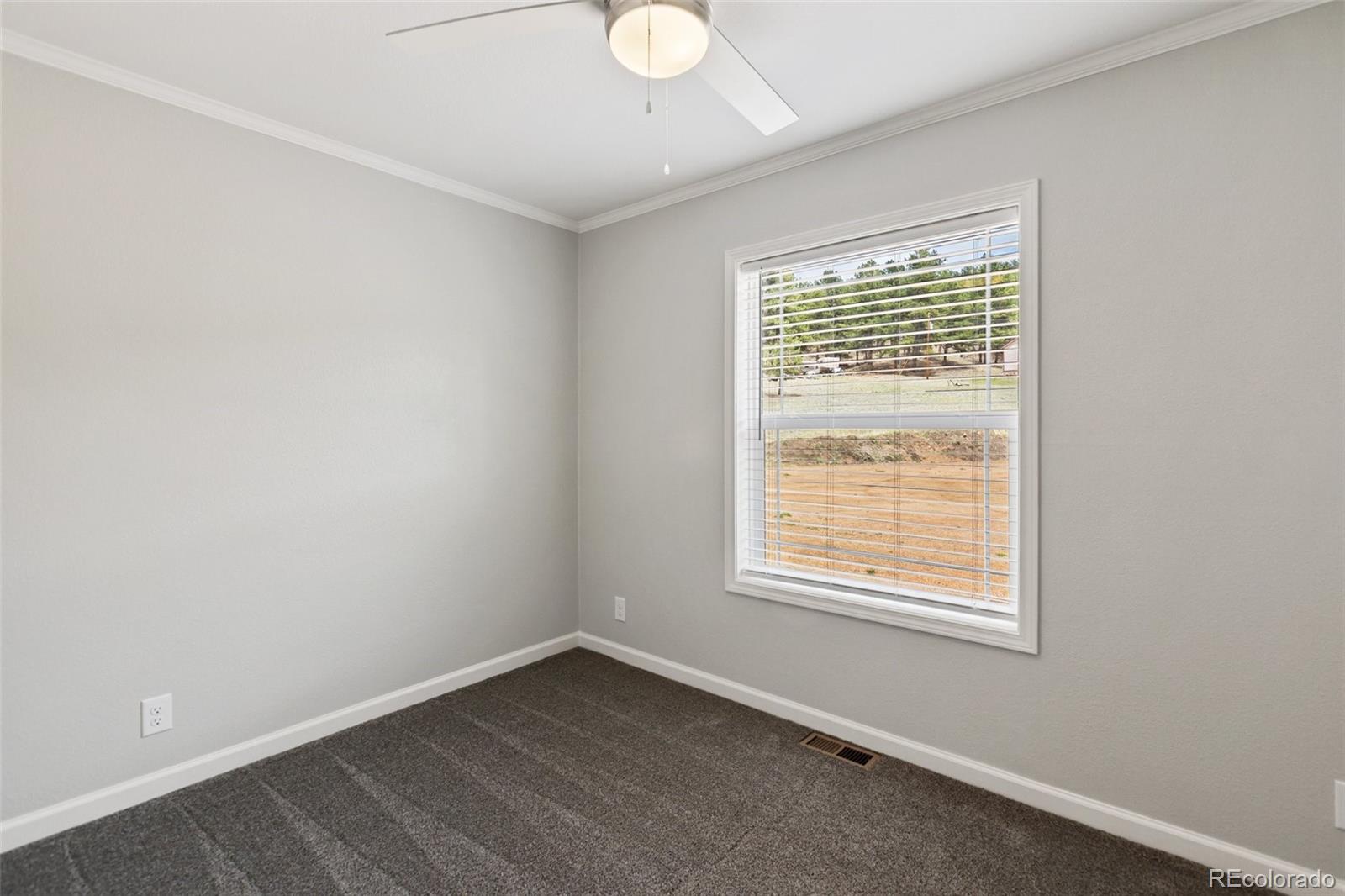 MLS Image #24 for 740  crystal peak road ,florissant, Colorado