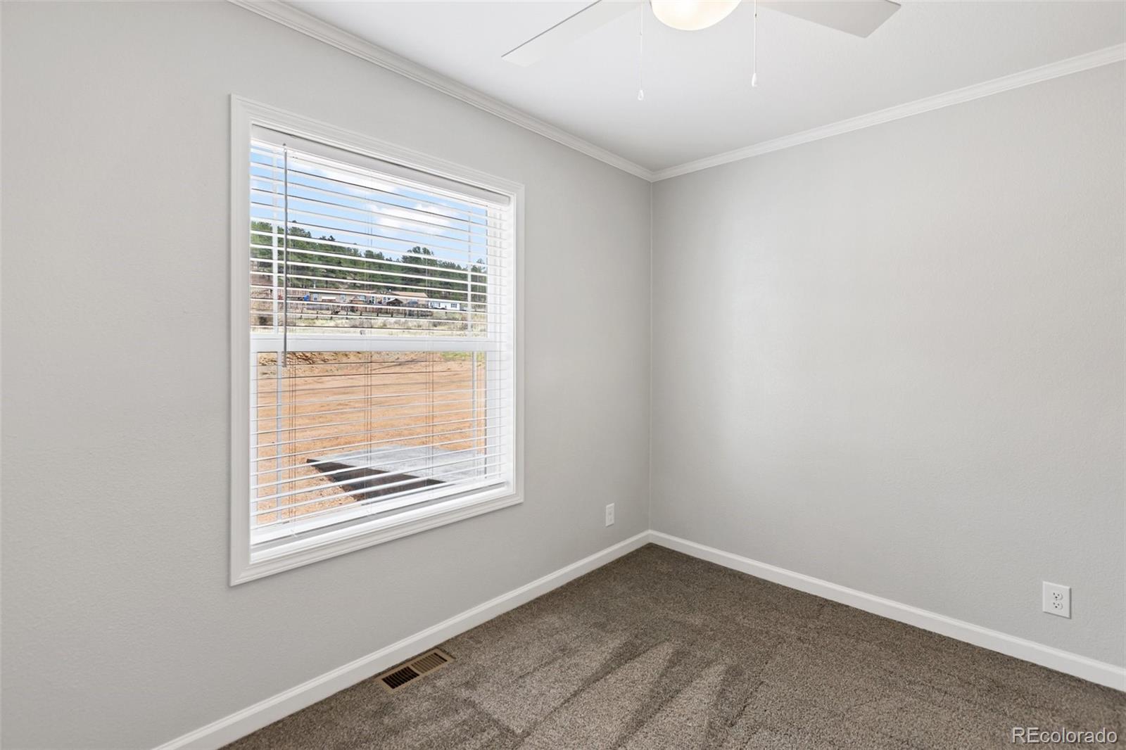 MLS Image #25 for 740  crystal peak road ,florissant, Colorado