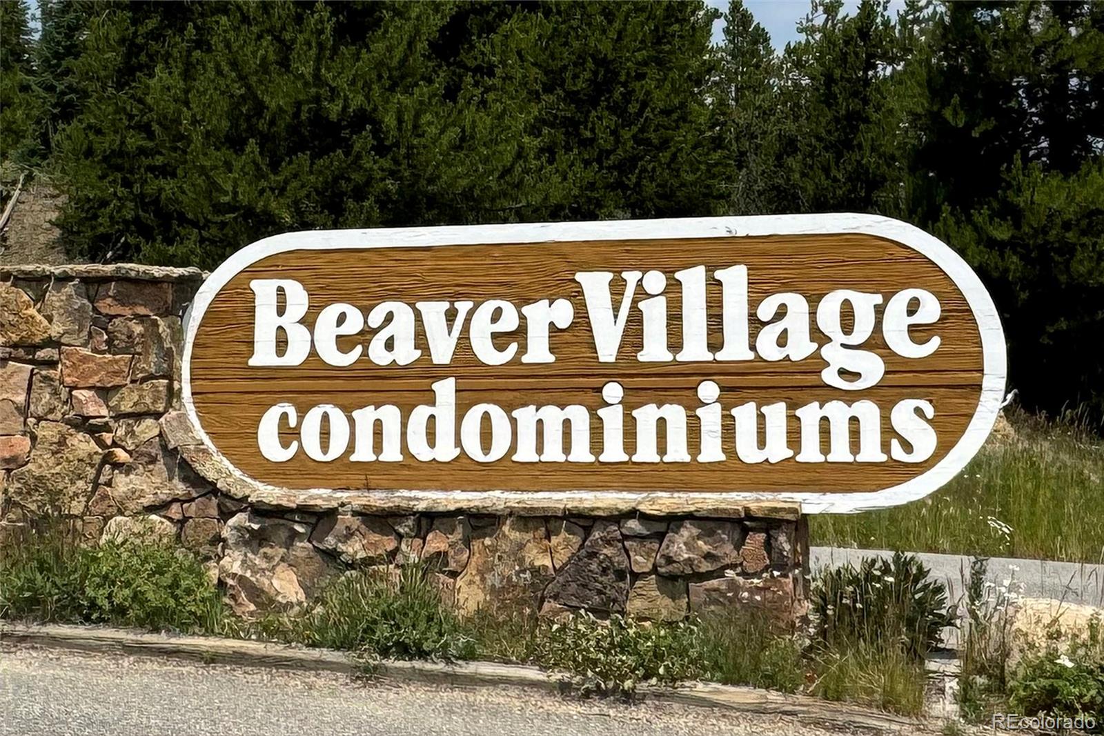 MLS Image #29 for 189  county road 702 ,winter park, Colorado