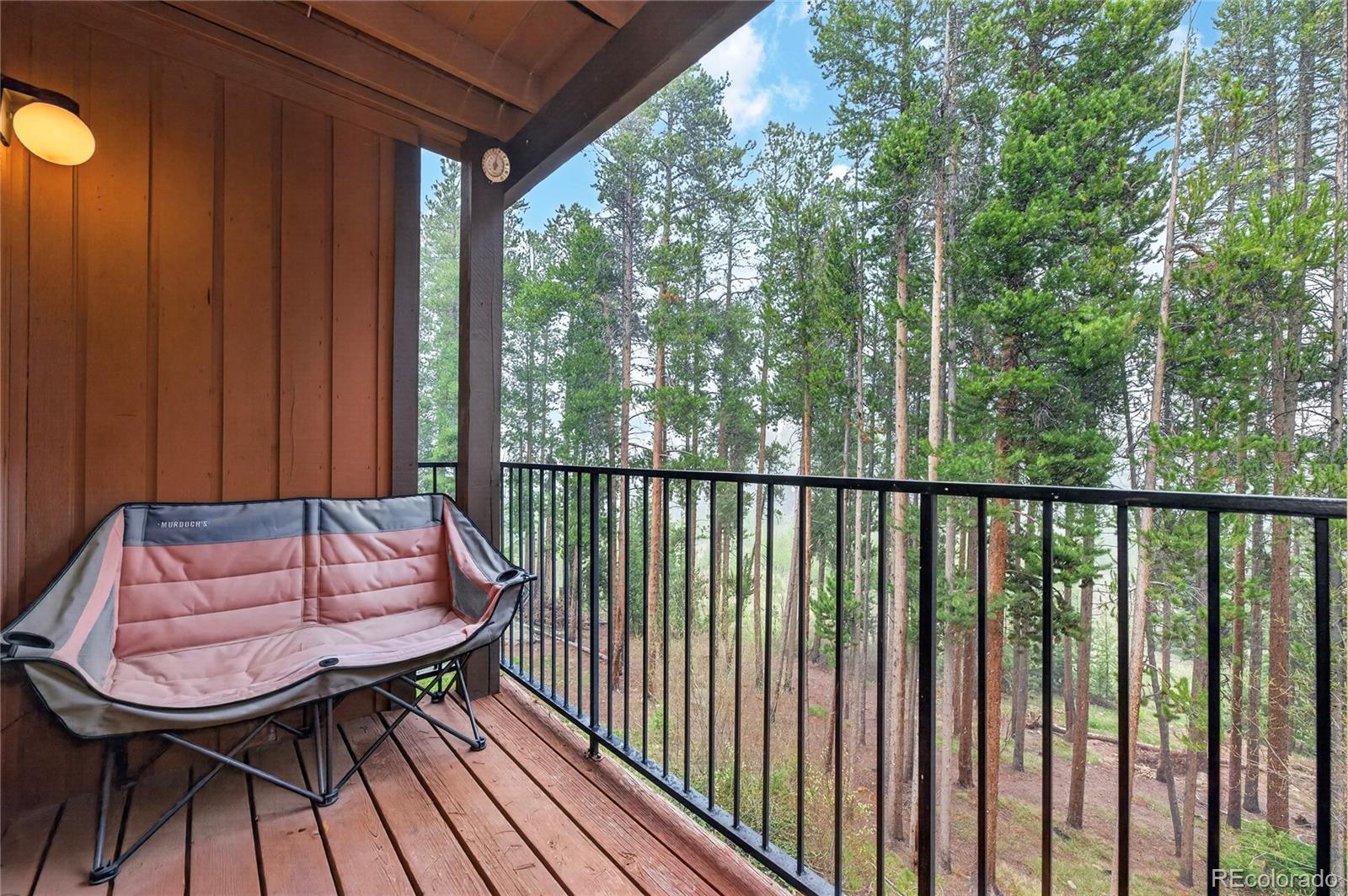 MLS Image #4 for 189  county road 702 ,winter park, Colorado