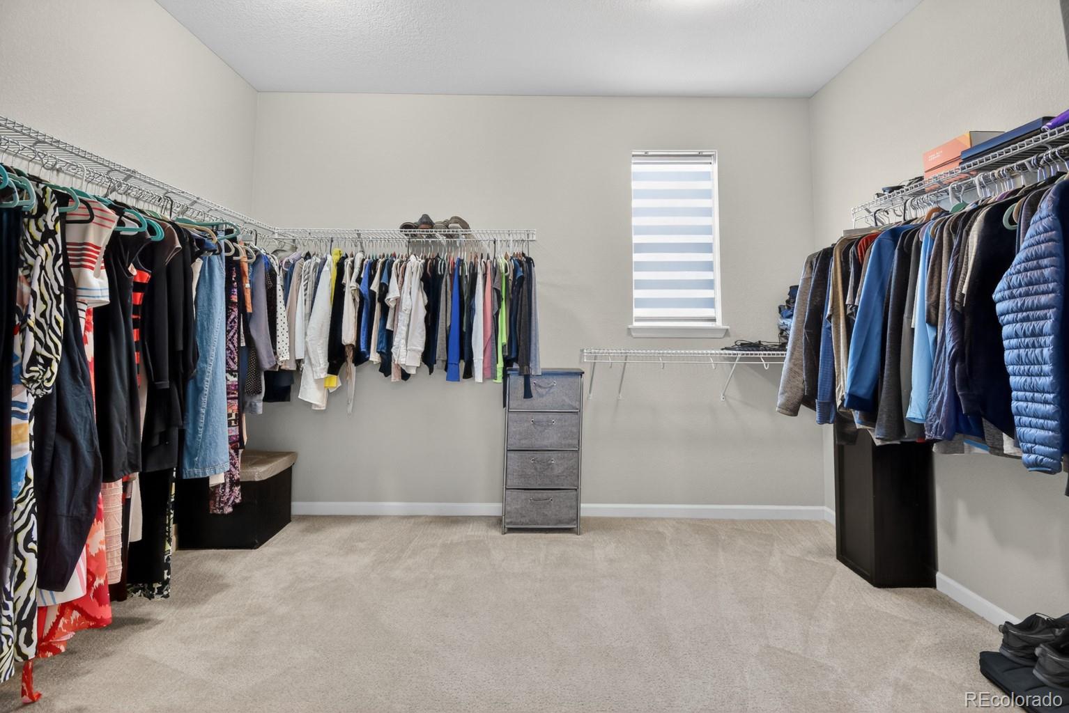 MLS Image #24 for 881  flora view drive,erie, Colorado
