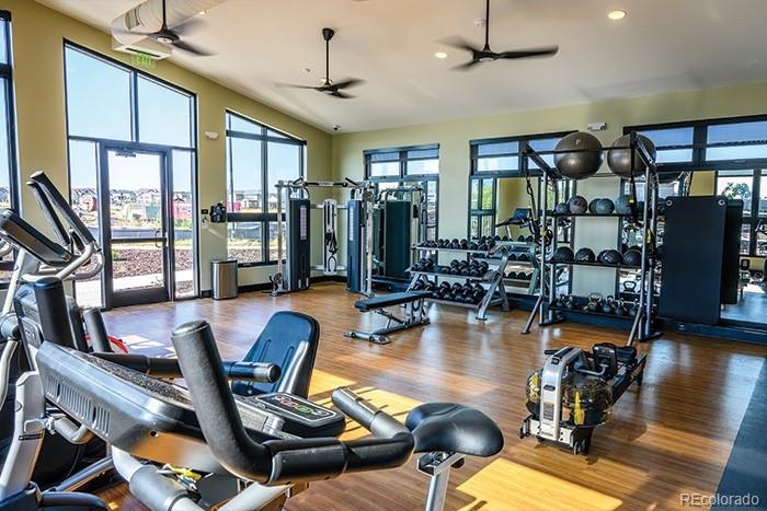 MLS Image #43 for 881  flora view drive,erie, Colorado