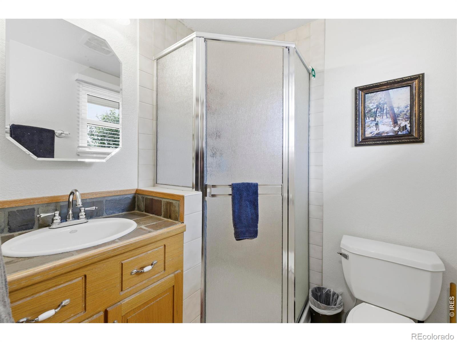 MLS Image #23 for 3909  goodell lane,fort collins, Colorado