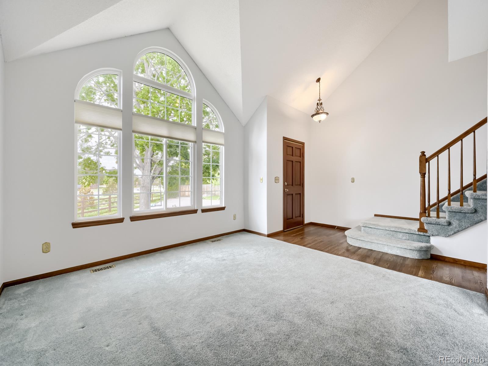 MLS Image #4 for 8267  kline street,arvada, Colorado
