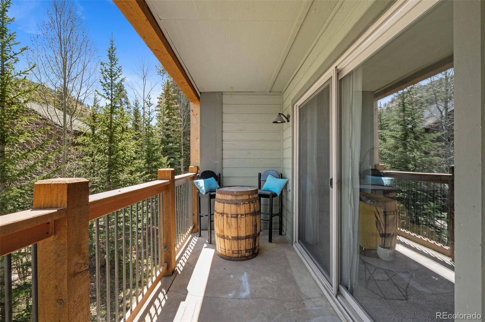 MLS Image #22 for 550 s french street 112,breckenridge, Colorado