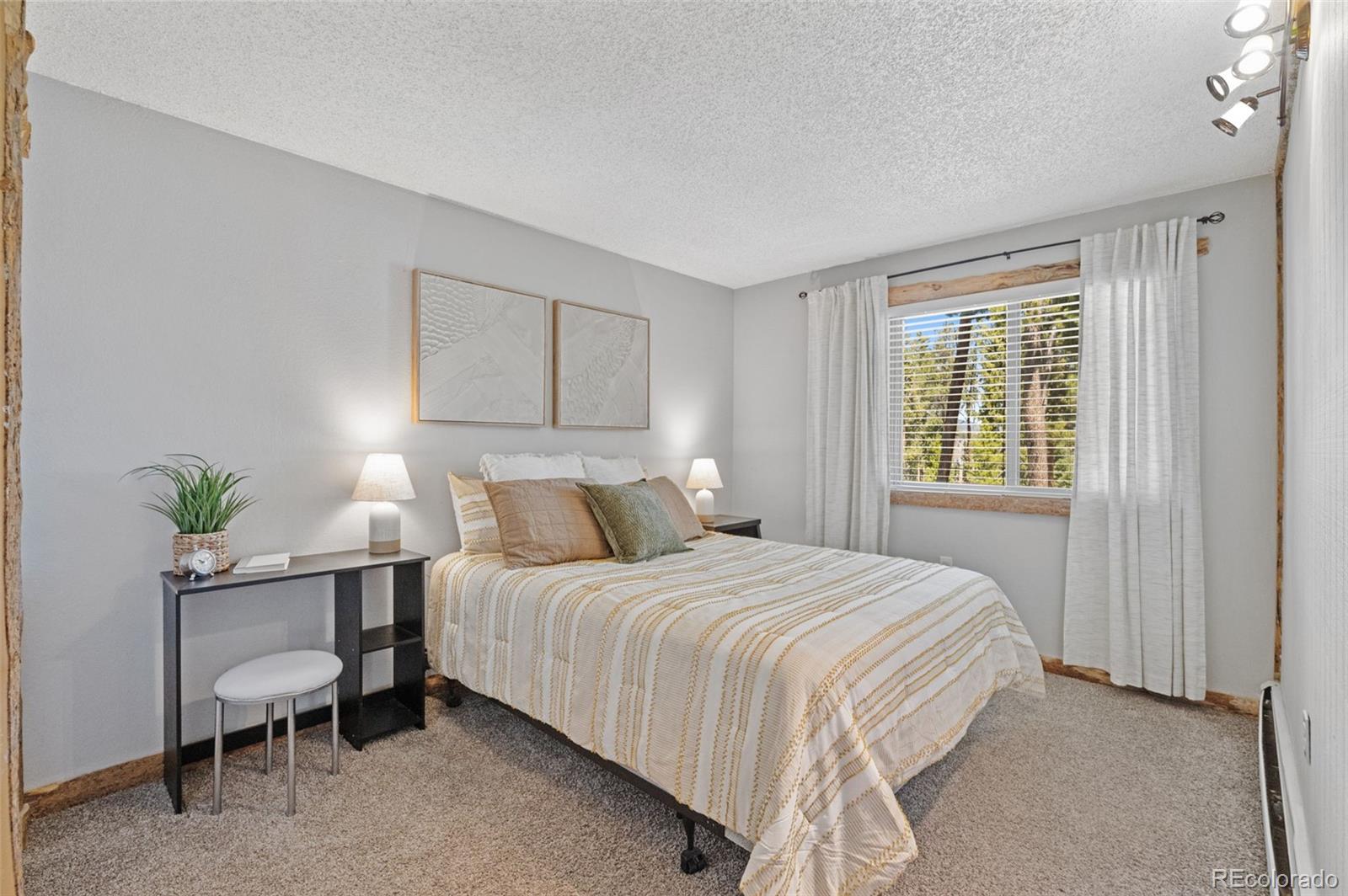 MLS Image #4 for 550 s french street 112,breckenridge, Colorado