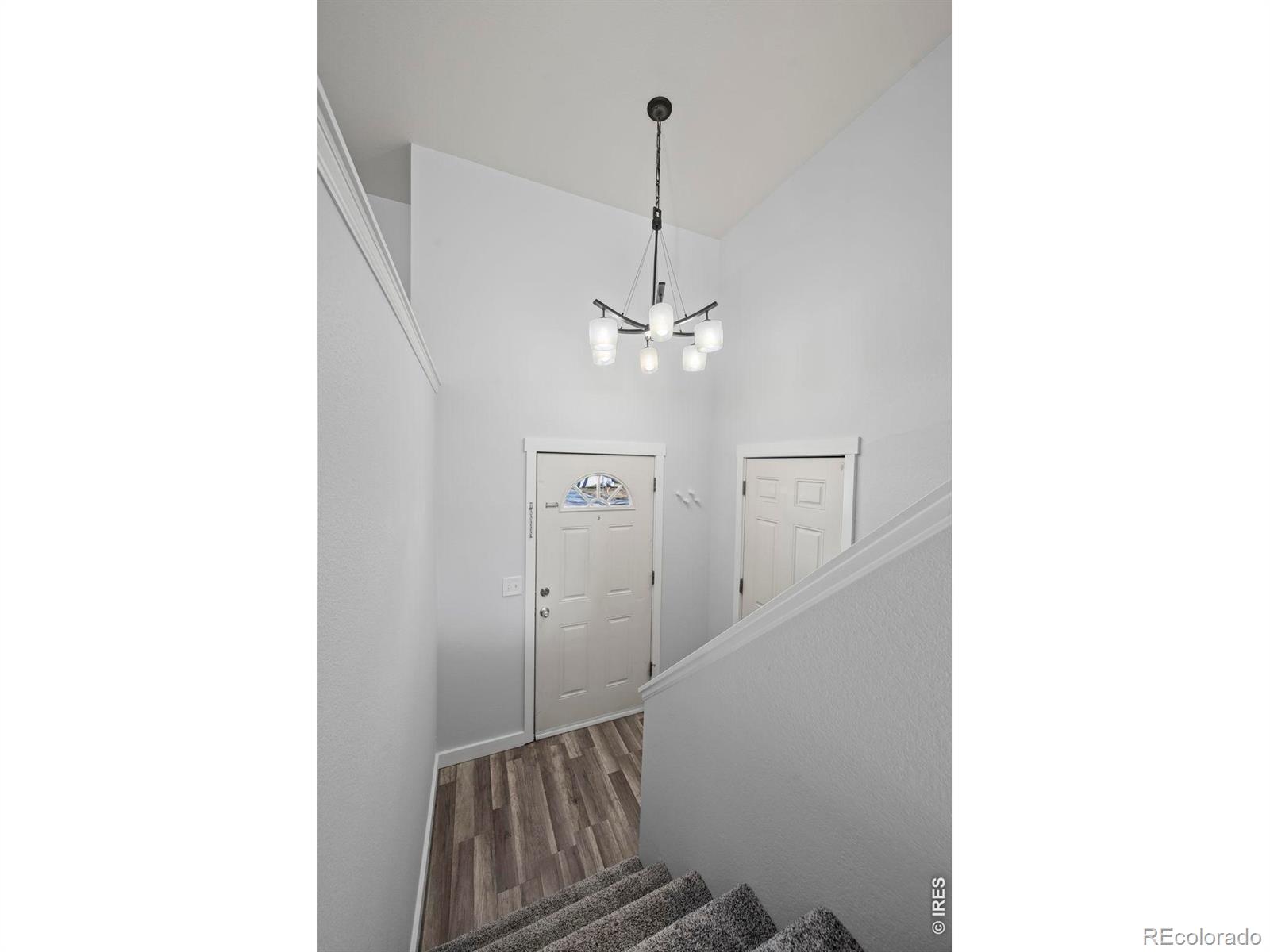 MLS Image #8 for 9555  carr street,westminster, Colorado