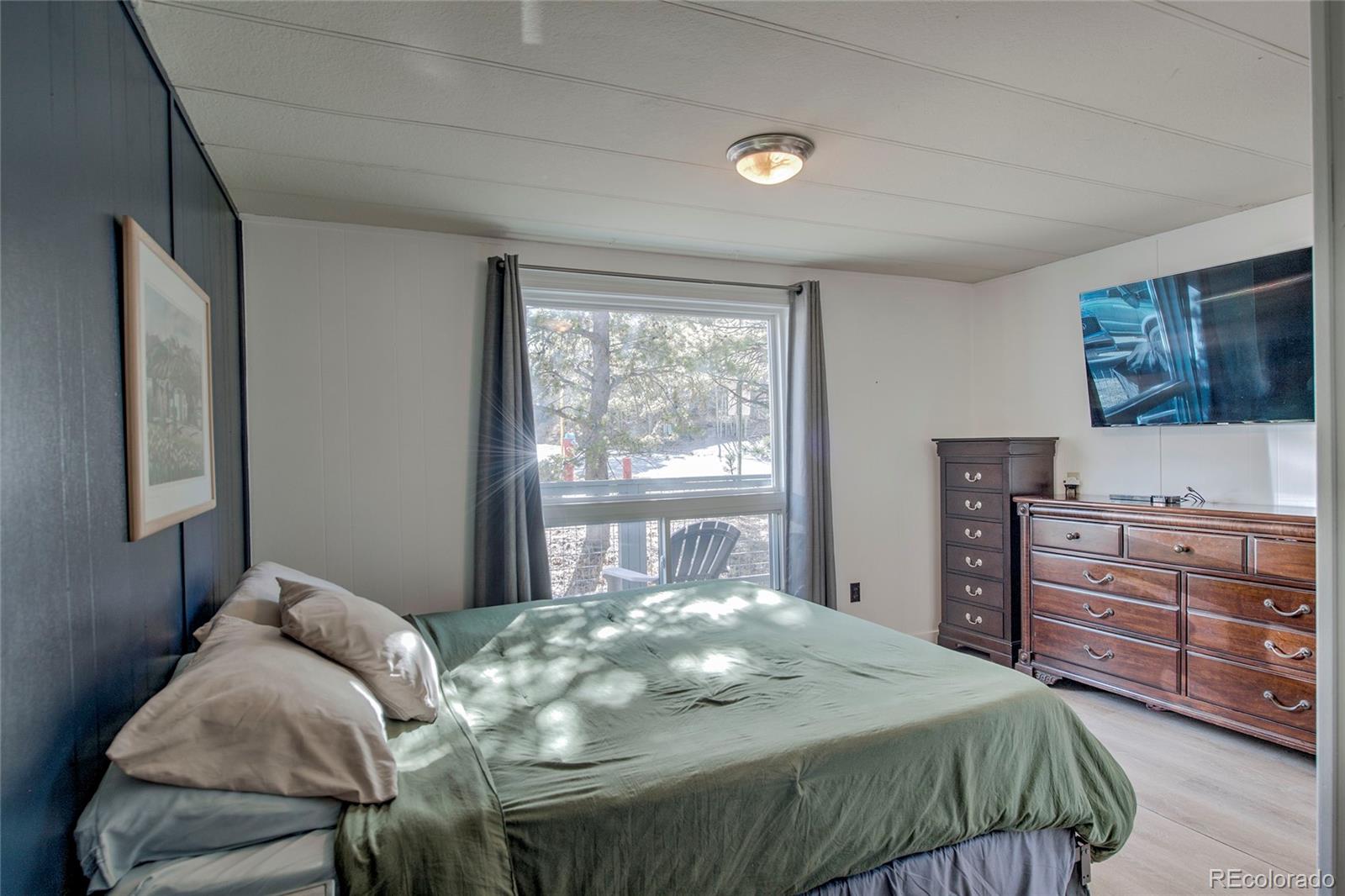 MLS Image #13 for 56  magnum bonum drive,breckenridge, Colorado