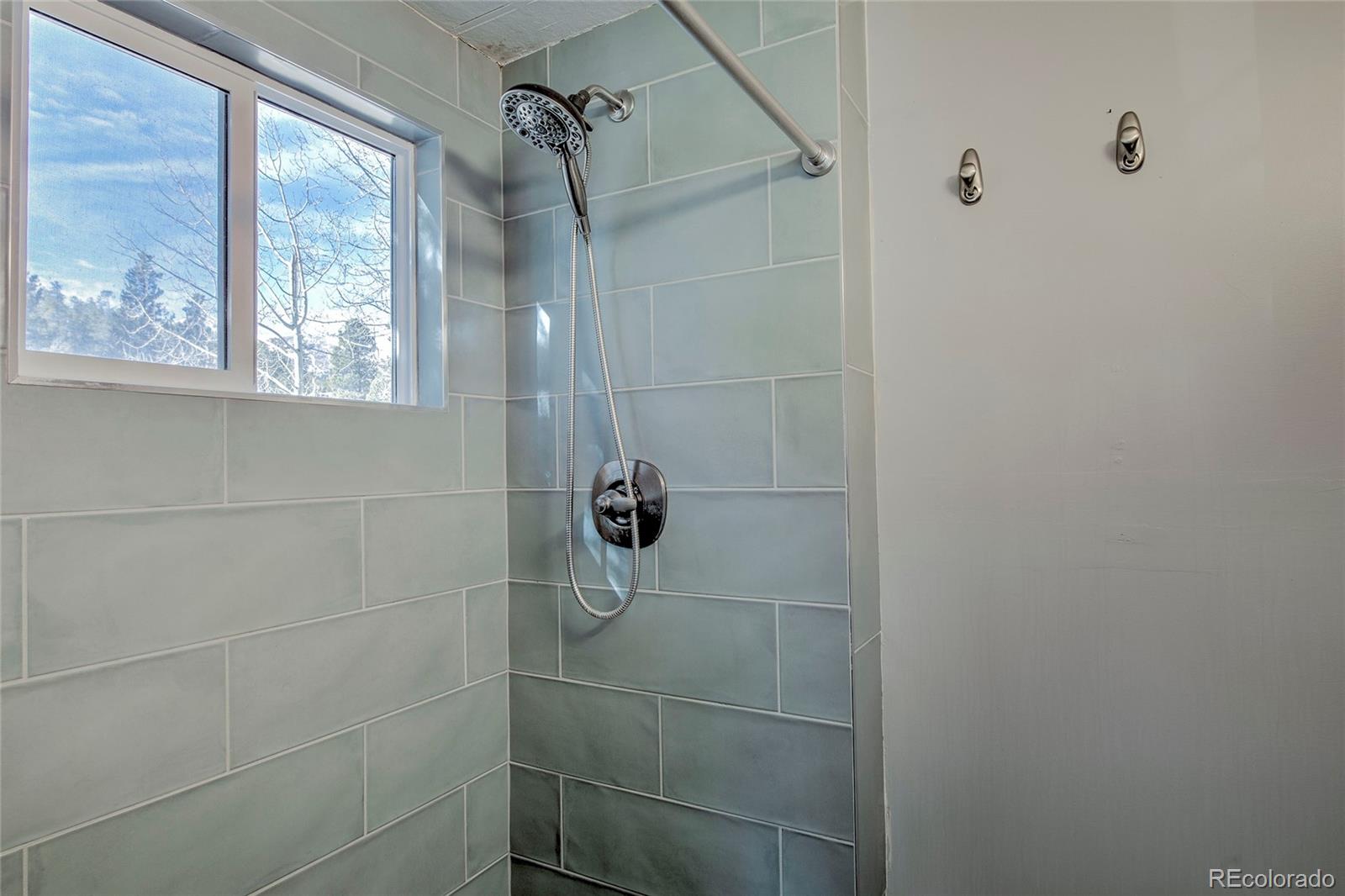 MLS Image #18 for 56  magnum bonum drive,breckenridge, Colorado