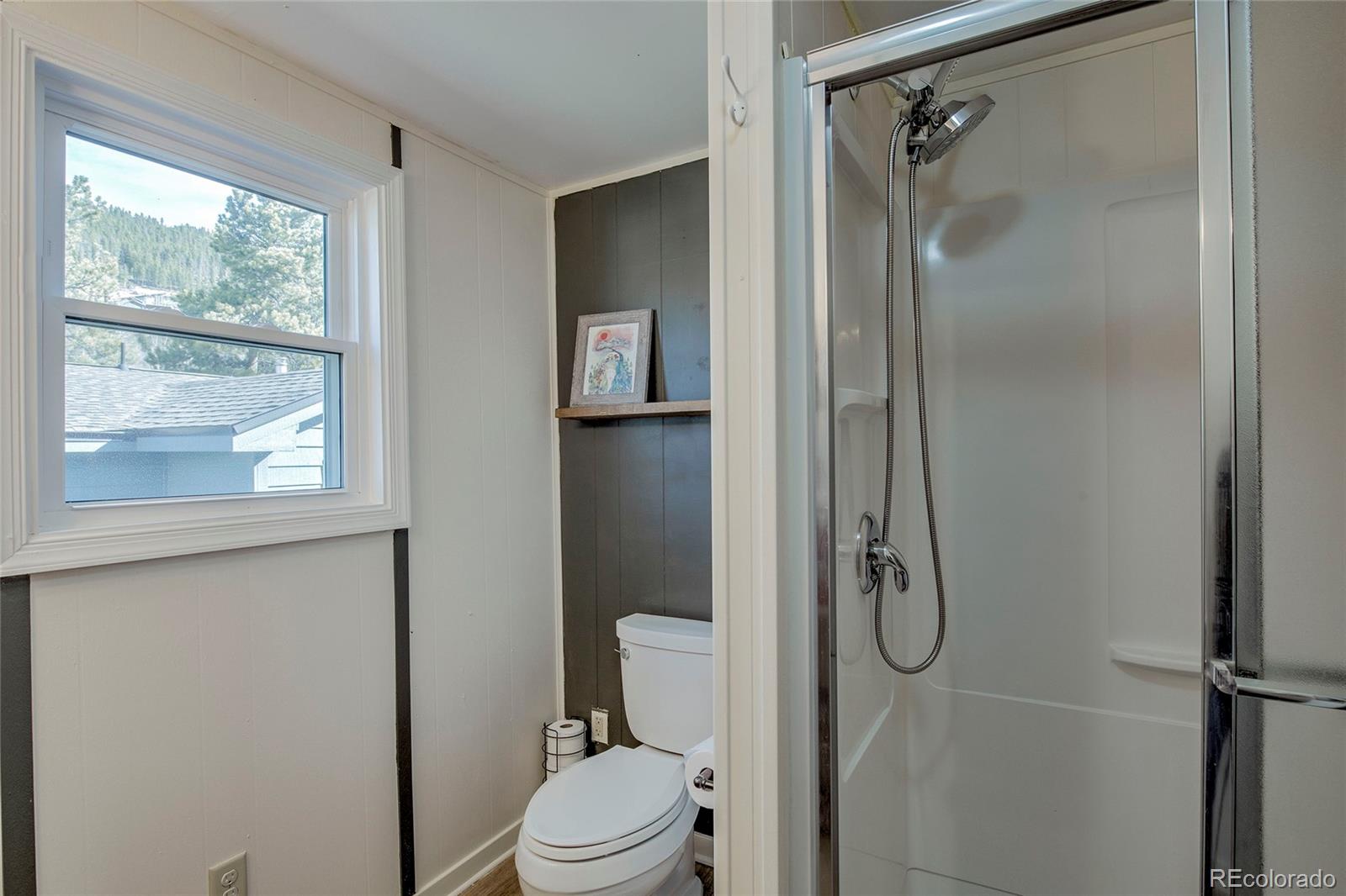 MLS Image #31 for 56  magnum bonum drive,breckenridge, Colorado
