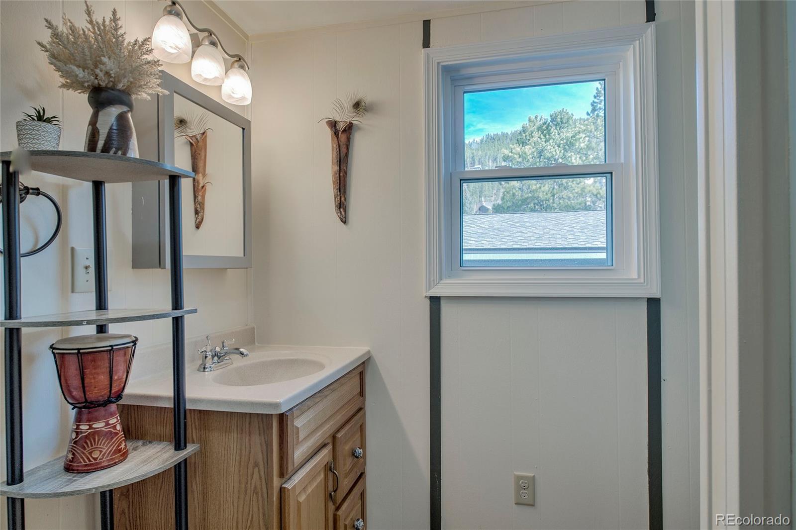 MLS Image #32 for 56  magnum bonum drive,breckenridge, Colorado