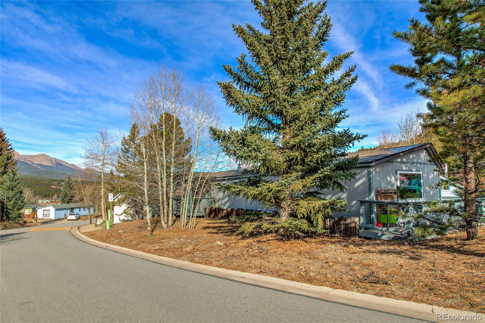 MLS Image #41 for 56  magnum bonum drive,breckenridge, Colorado