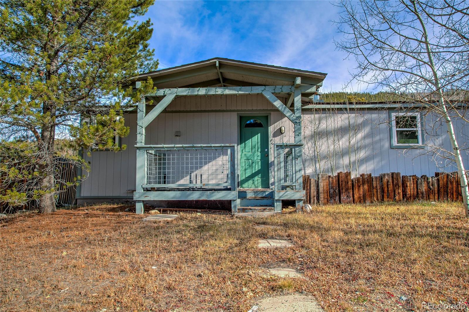 MLS Image #42 for 56  magnum bonum drive,breckenridge, Colorado