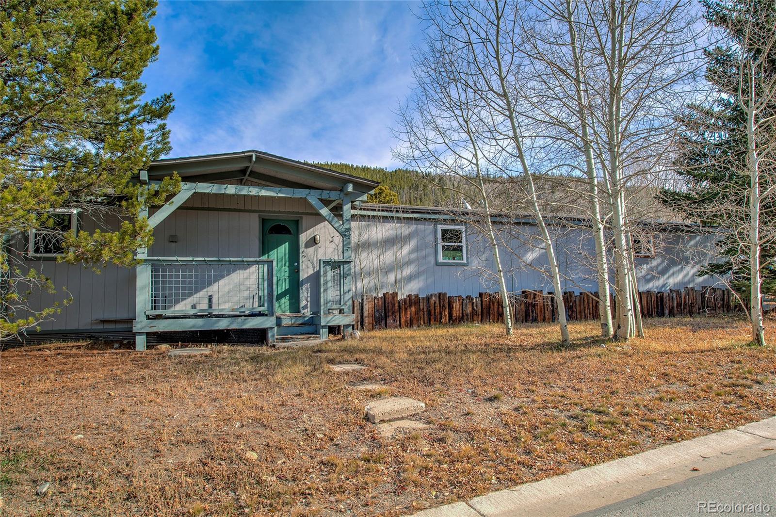 MLS Image #43 for 56  magnum bonum drive,breckenridge, Colorado
