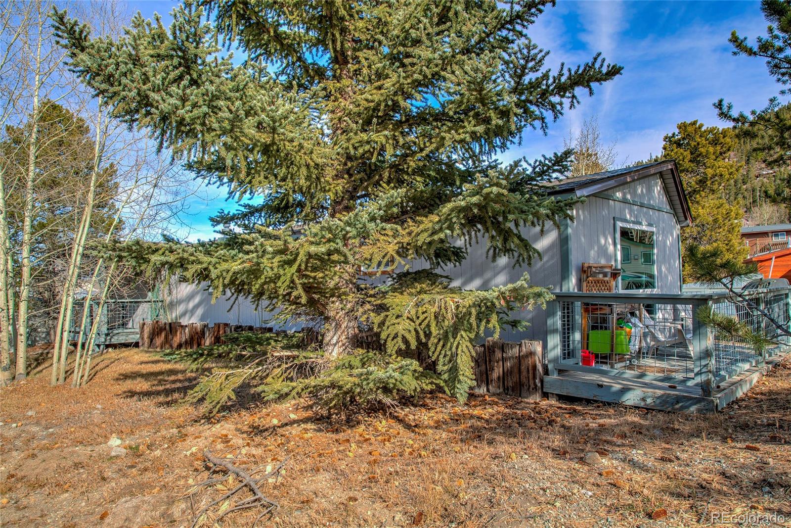 MLS Image #44 for 56  magnum bonum drive,breckenridge, Colorado