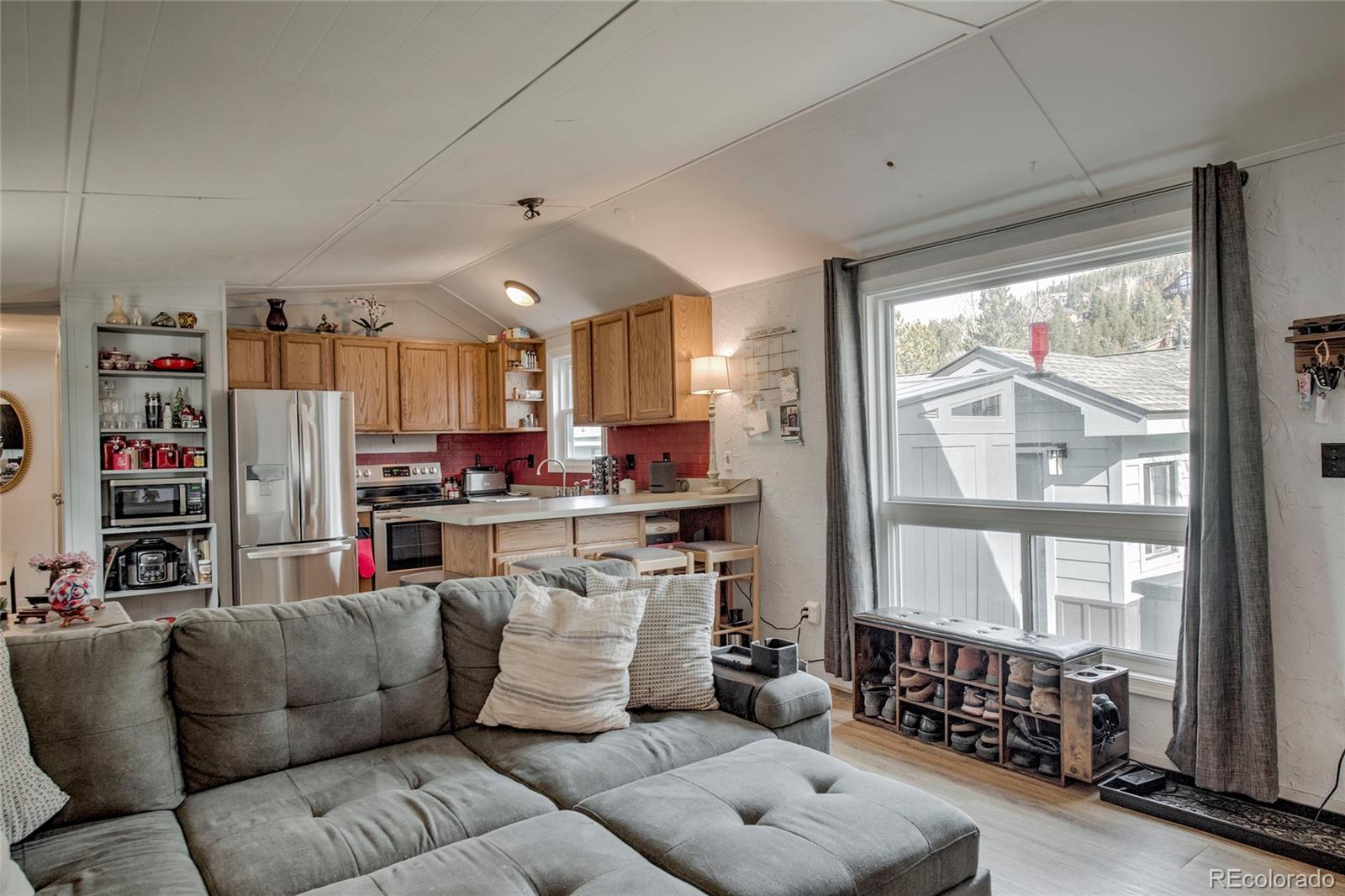 MLS Image #5 for 56  magnum bonum drive,breckenridge, Colorado