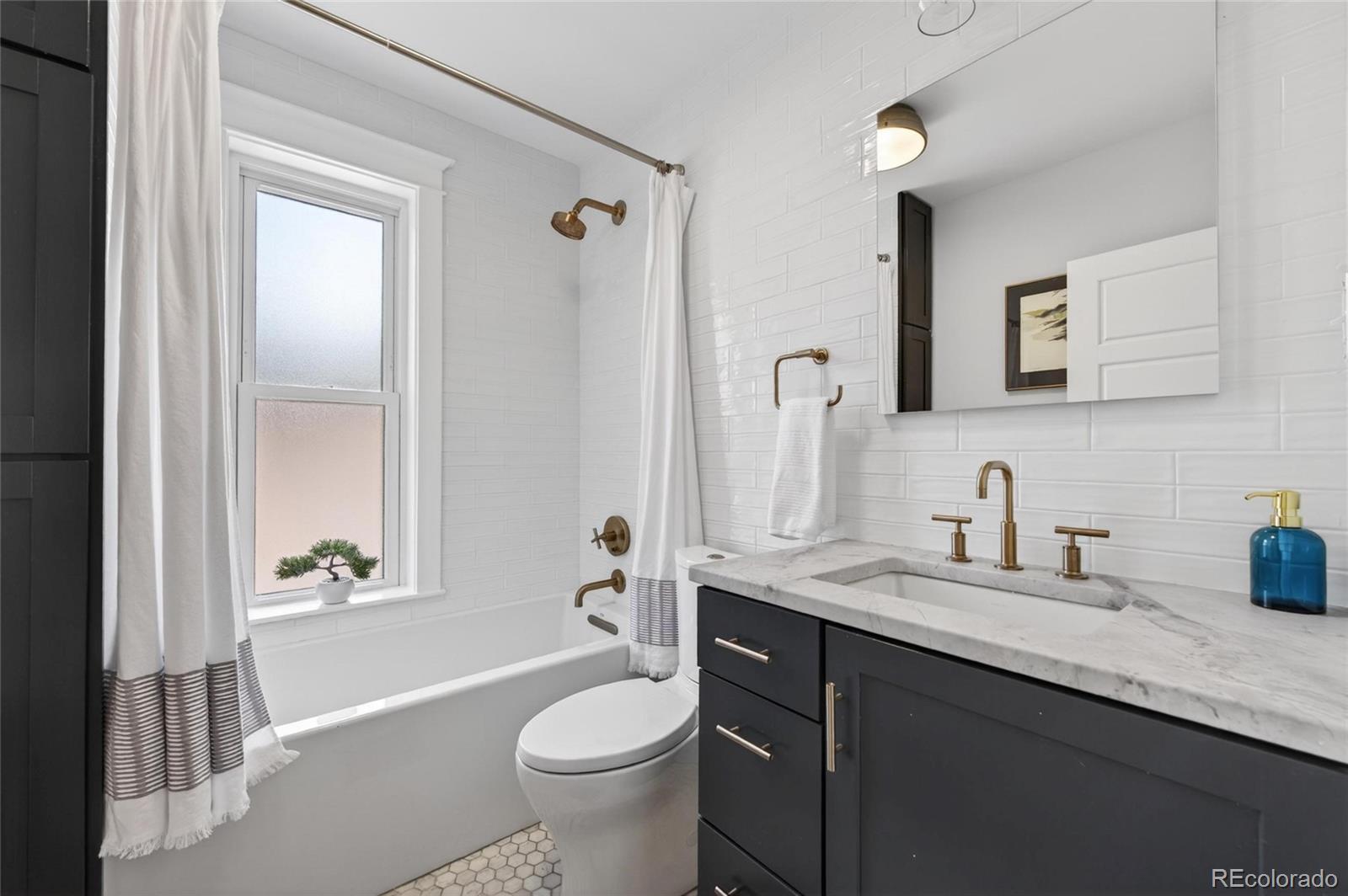 MLS Image #20 for 1054  steele street,denver, Colorado