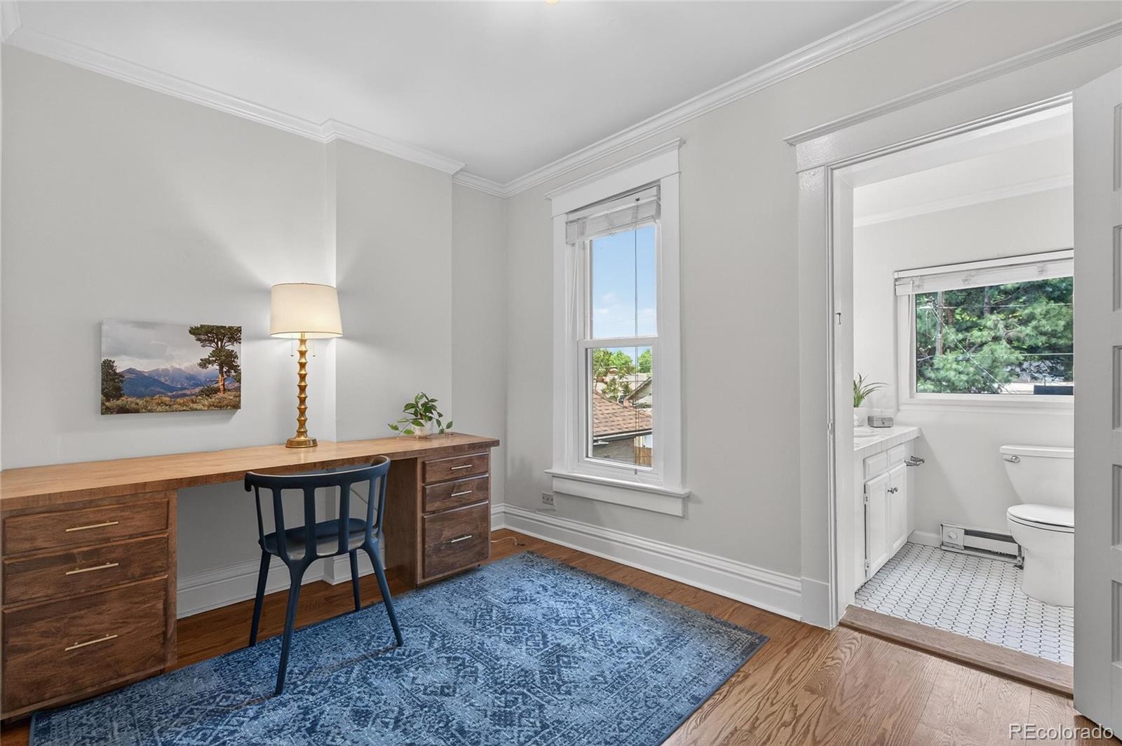MLS Image #26 for 1054  steele street,denver, Colorado