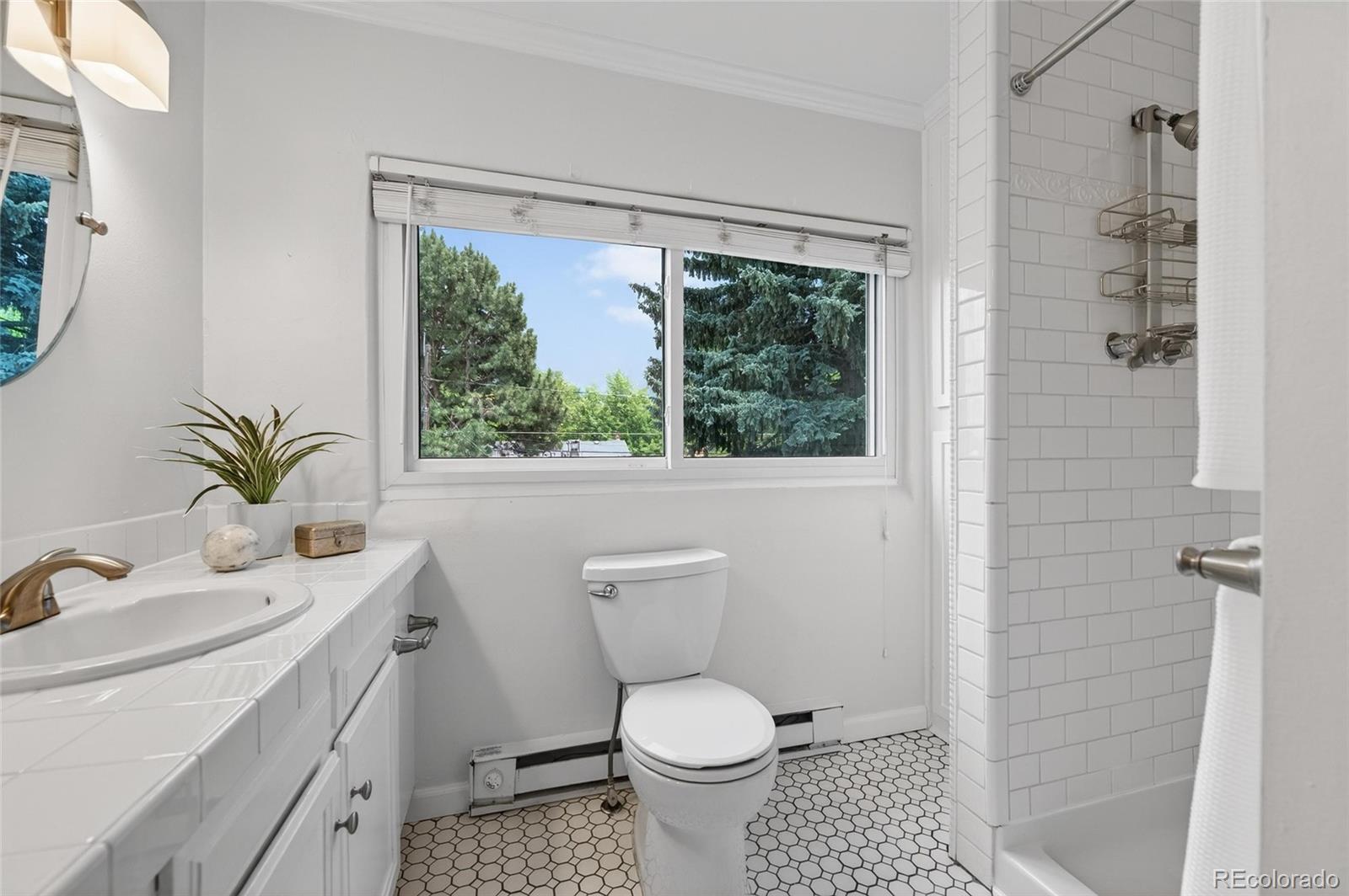 MLS Image #27 for 1054  steele street,denver, Colorado