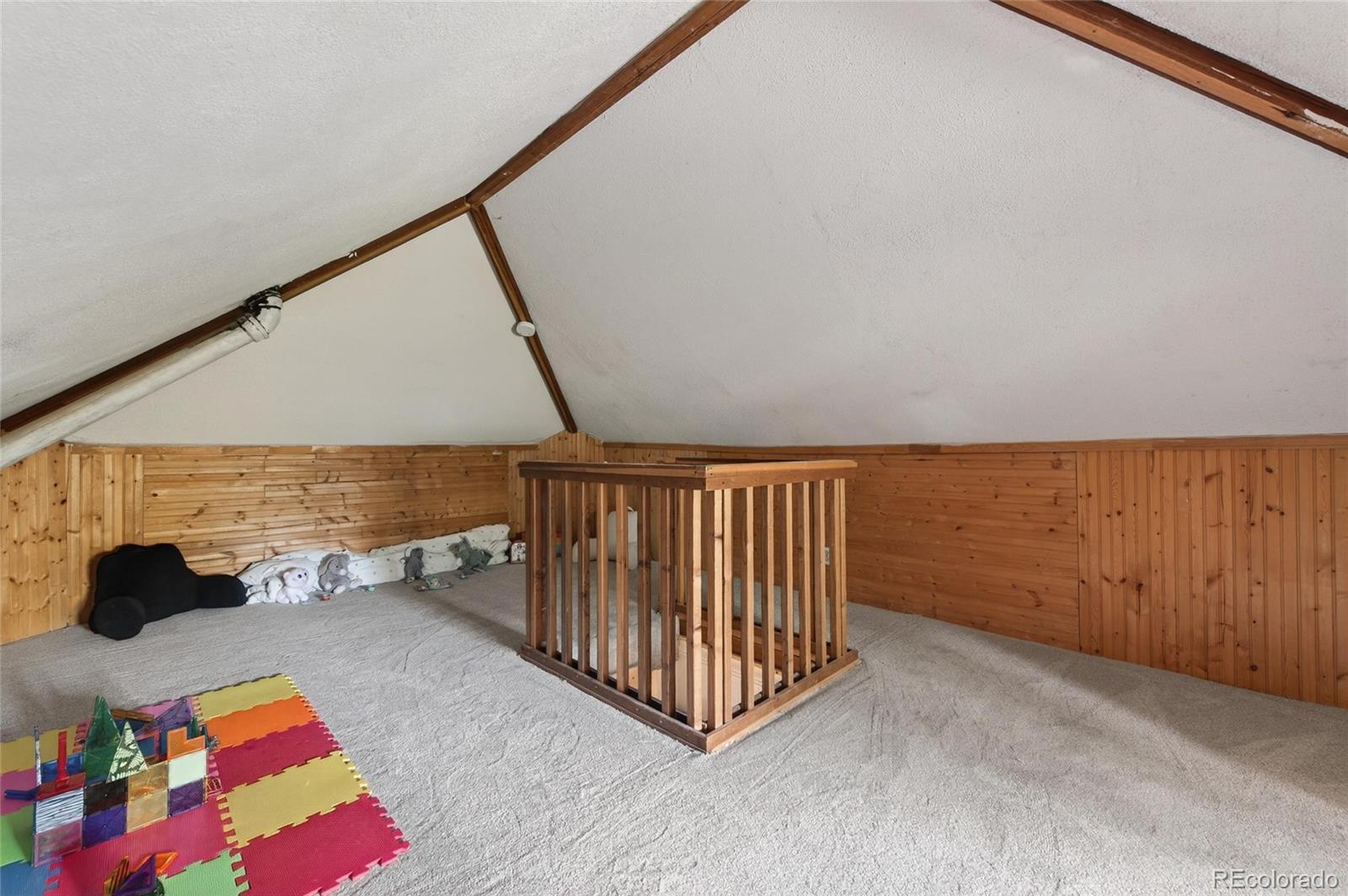 MLS Image #29 for 1054  steele street,denver, Colorado