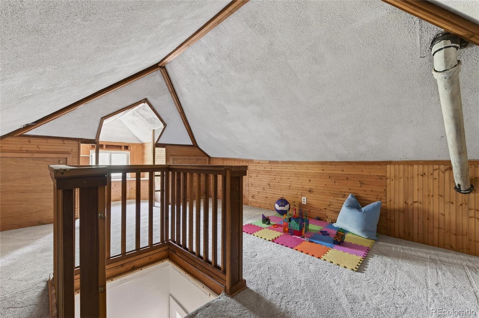 MLS Image #30 for 1054  steele street,denver, Colorado
