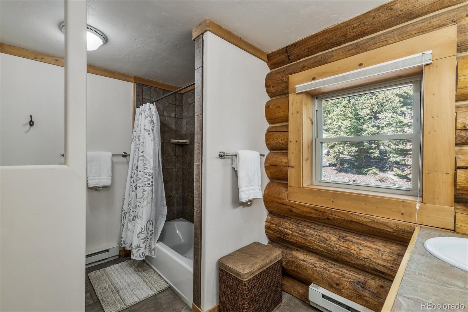 MLS Image #10 for 248  puma place,fairplay, Colorado