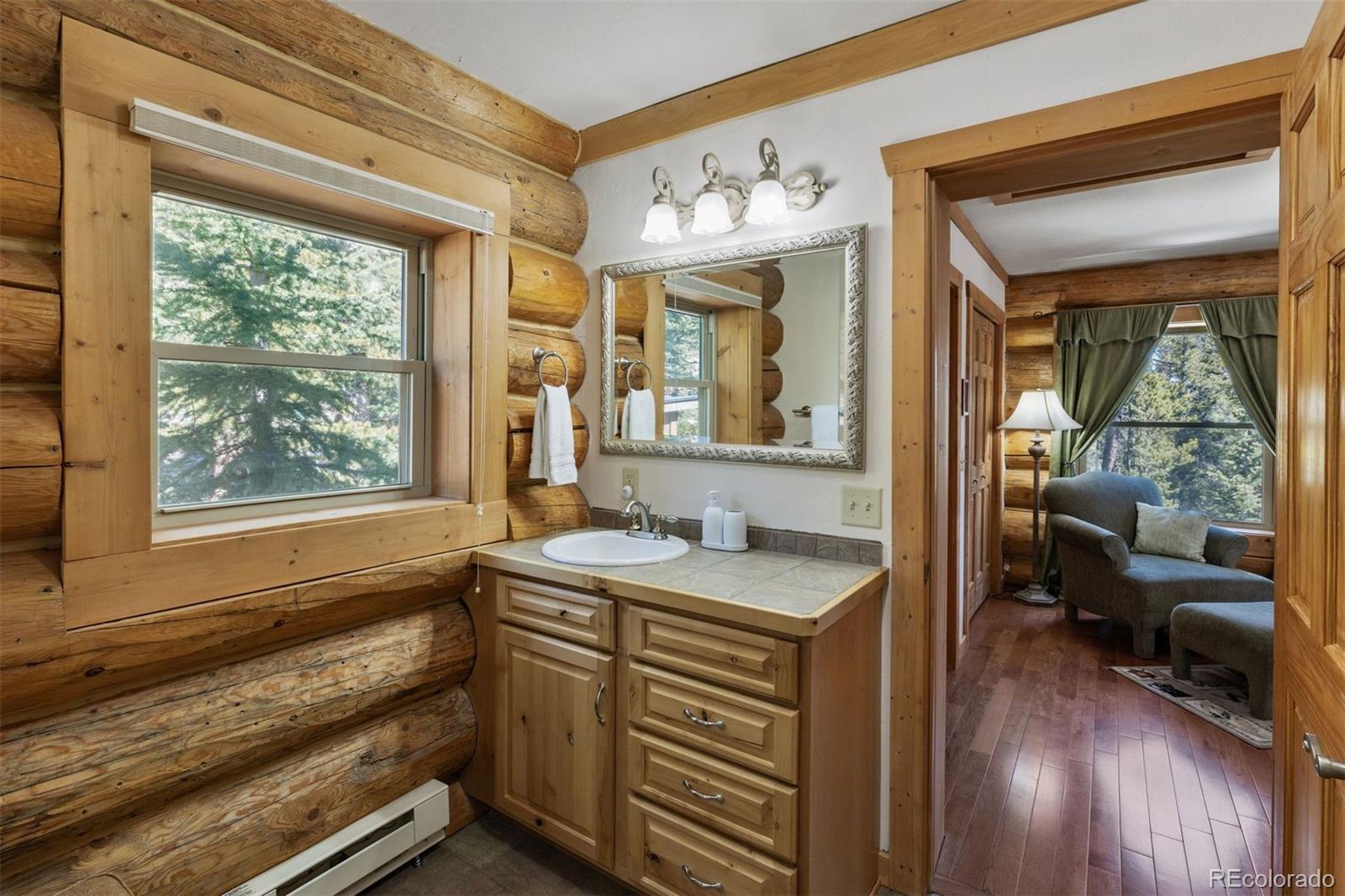 MLS Image #11 for 248  puma place,fairplay, Colorado