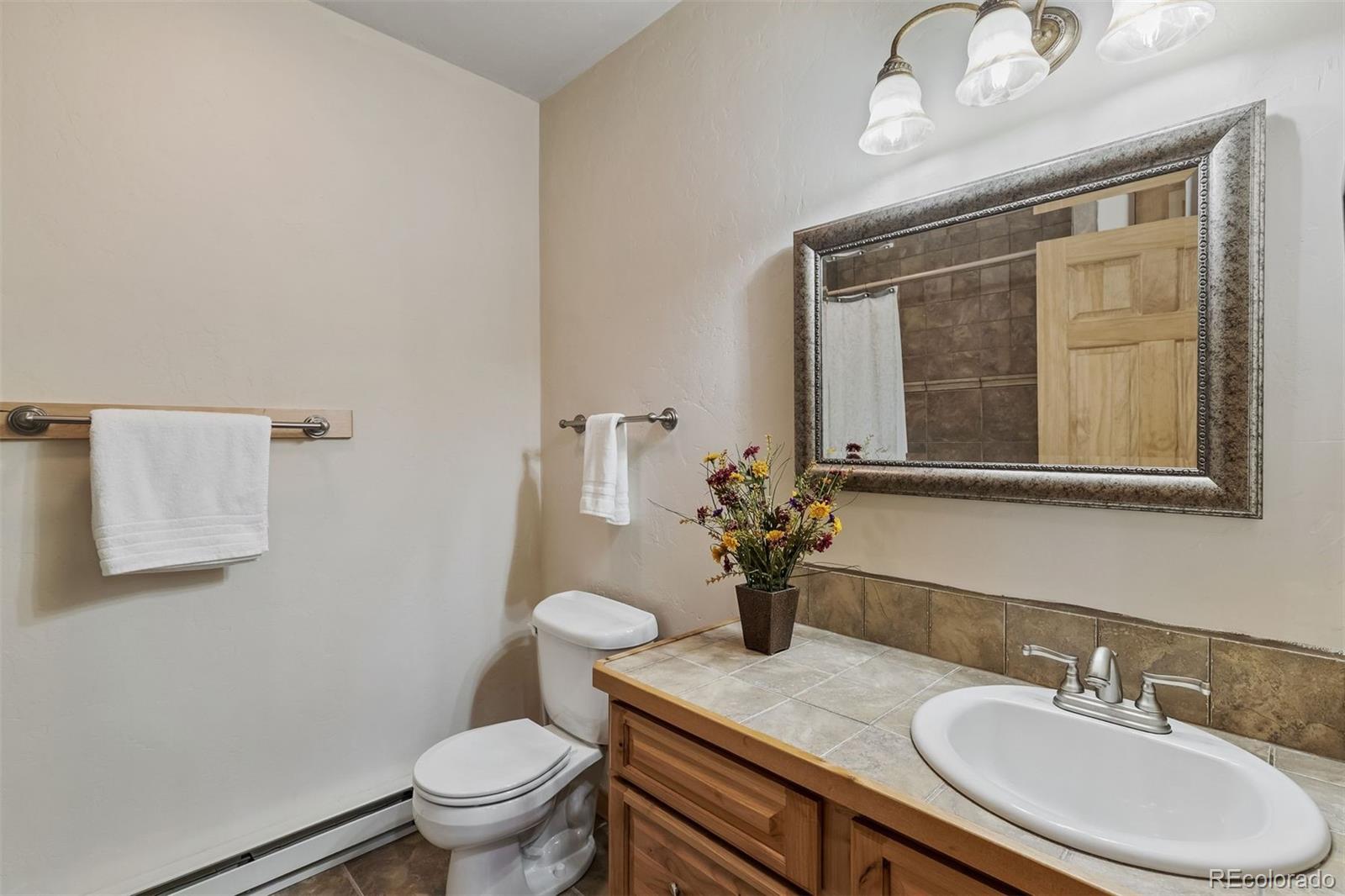 MLS Image #14 for 248  puma place,fairplay, Colorado