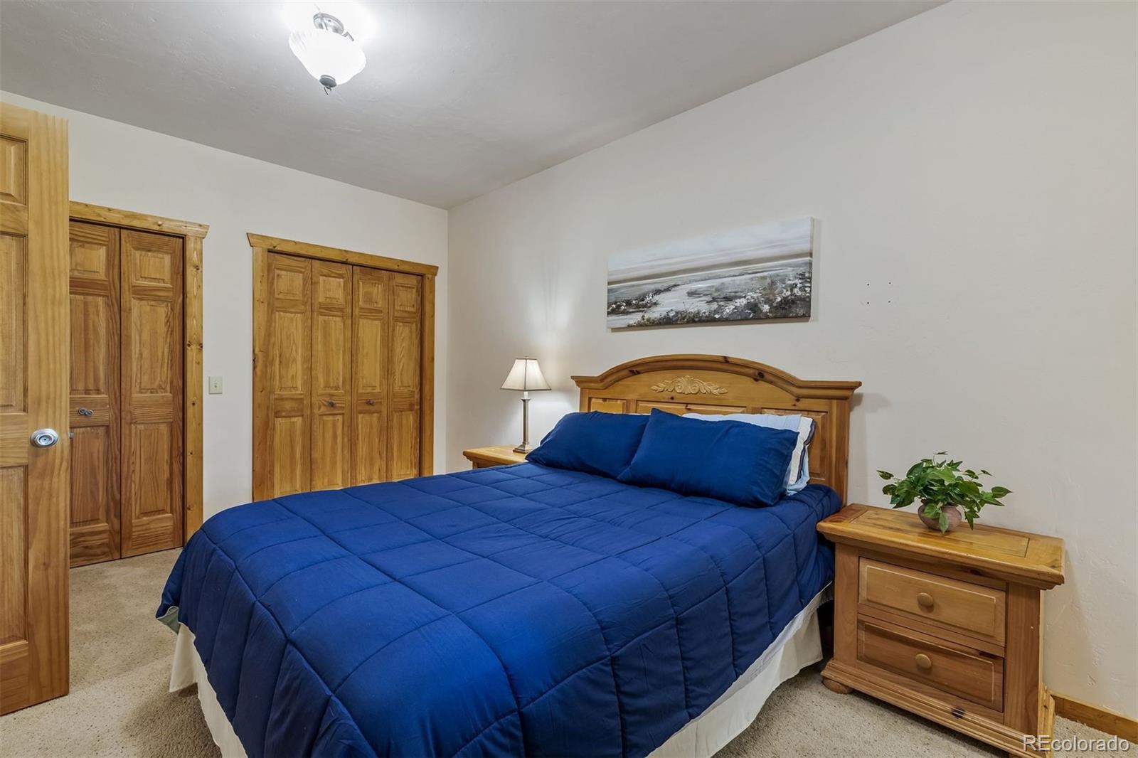 MLS Image #16 for 248  puma place,fairplay, Colorado