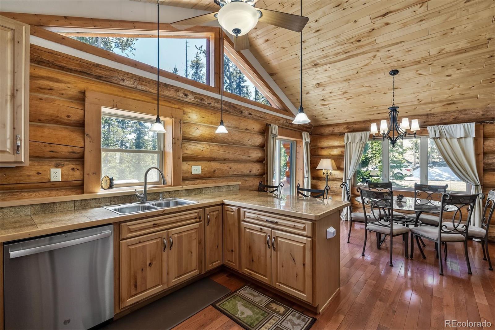 MLS Image #2 for 248  puma place,fairplay, Colorado