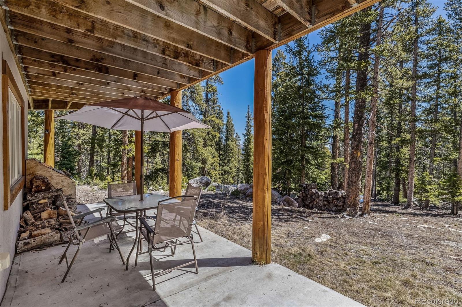 MLS Image #25 for 248  puma place,fairplay, Colorado