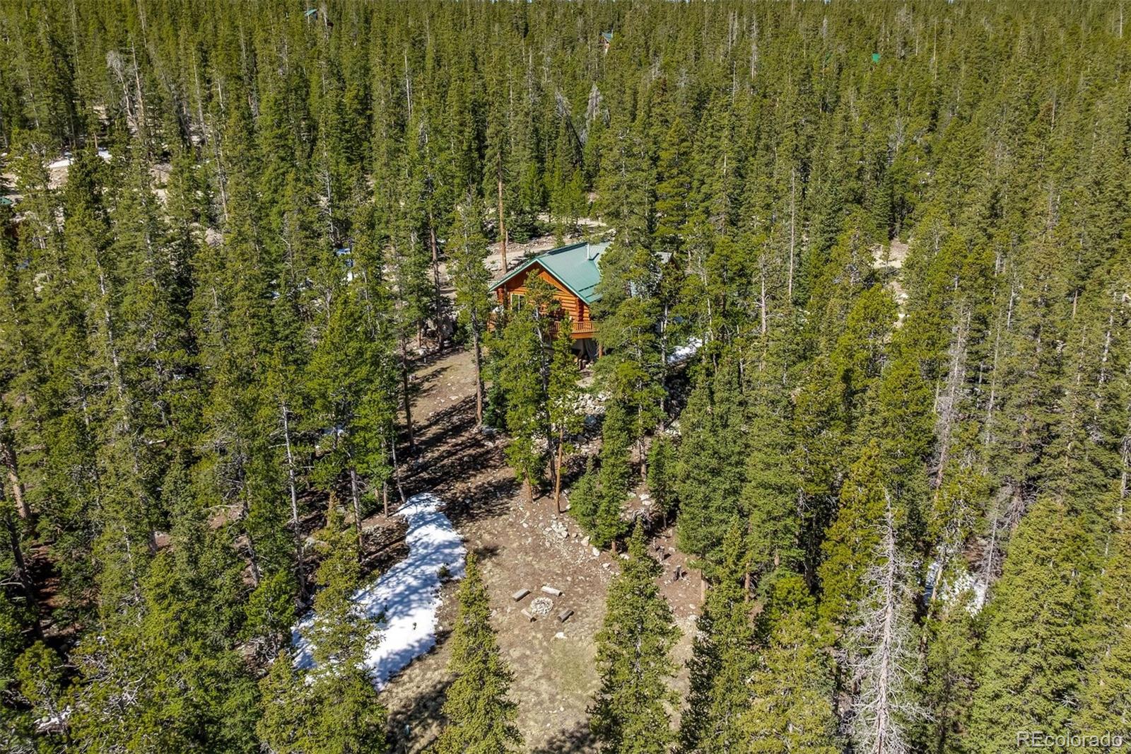 MLS Image #28 for 248  puma place,fairplay, Colorado