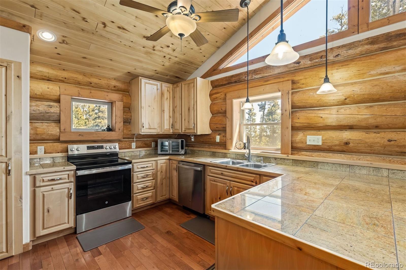 MLS Image #3 for 248  puma place,fairplay, Colorado