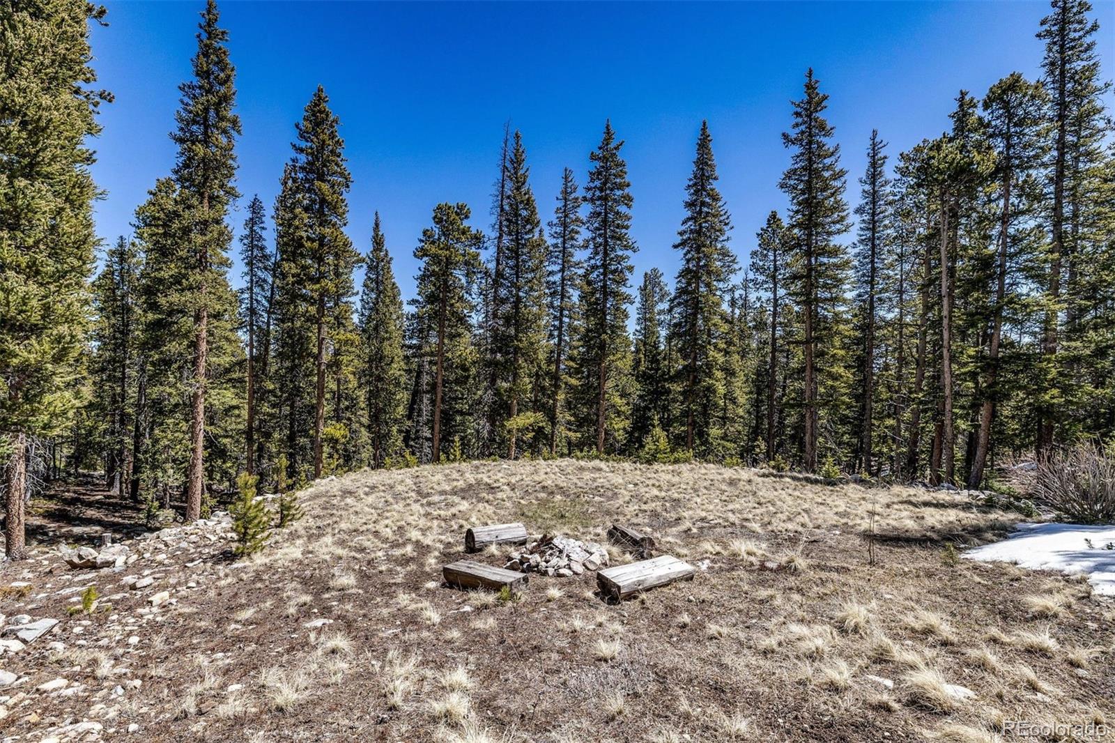 MLS Image #31 for 248  puma place,fairplay, Colorado