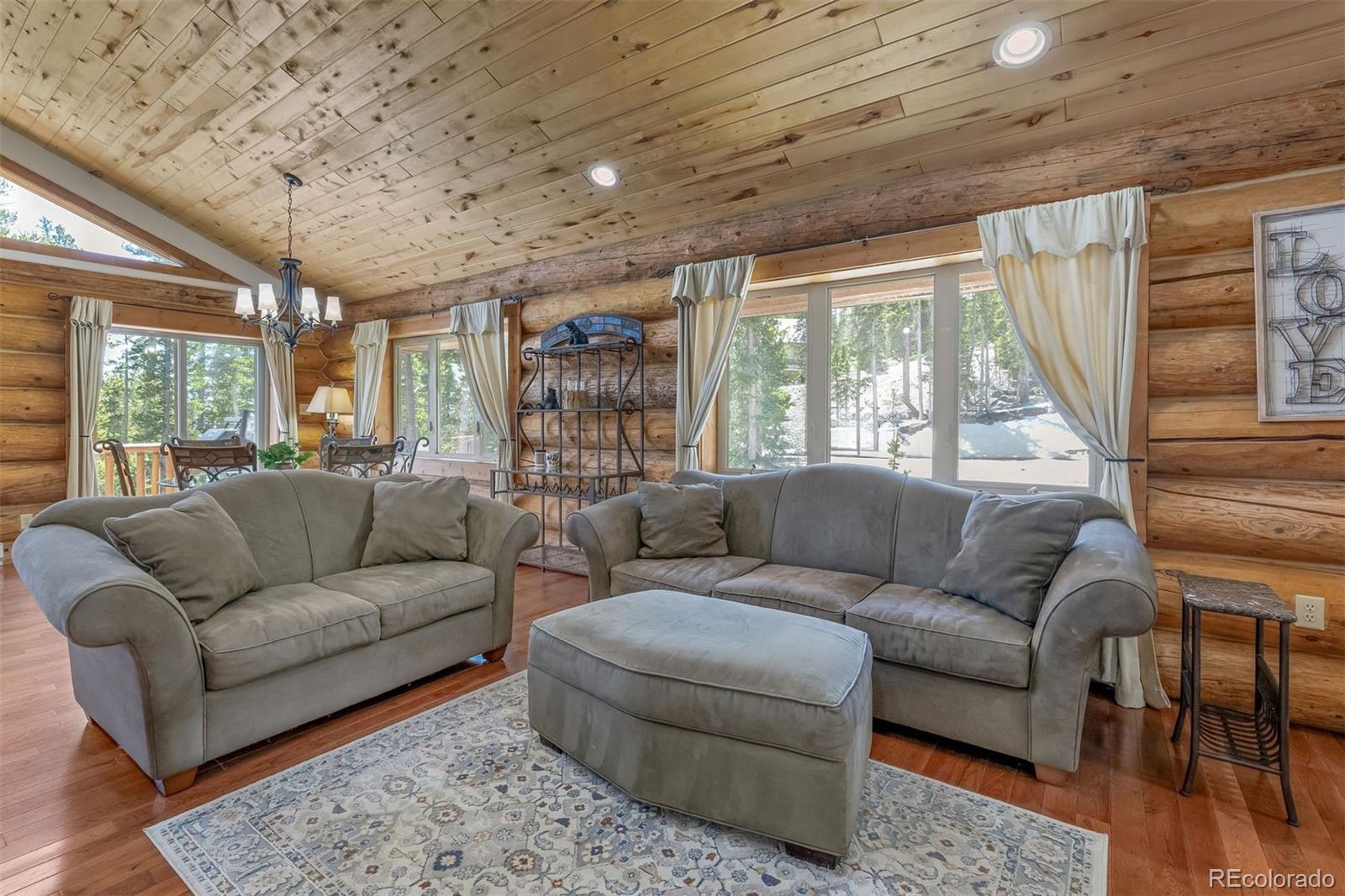 MLS Image #6 for 248  puma place,fairplay, Colorado