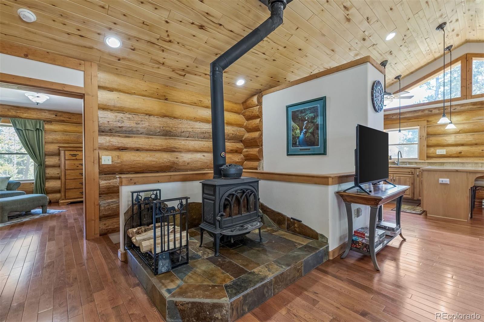 MLS Image #7 for 248  puma place,fairplay, Colorado