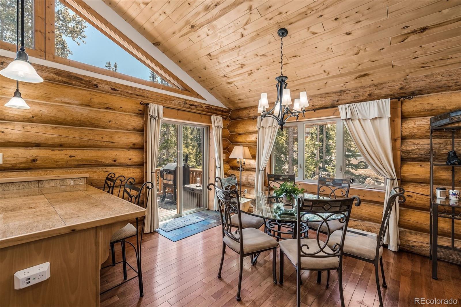 MLS Image #8 for 248  puma place,fairplay, Colorado