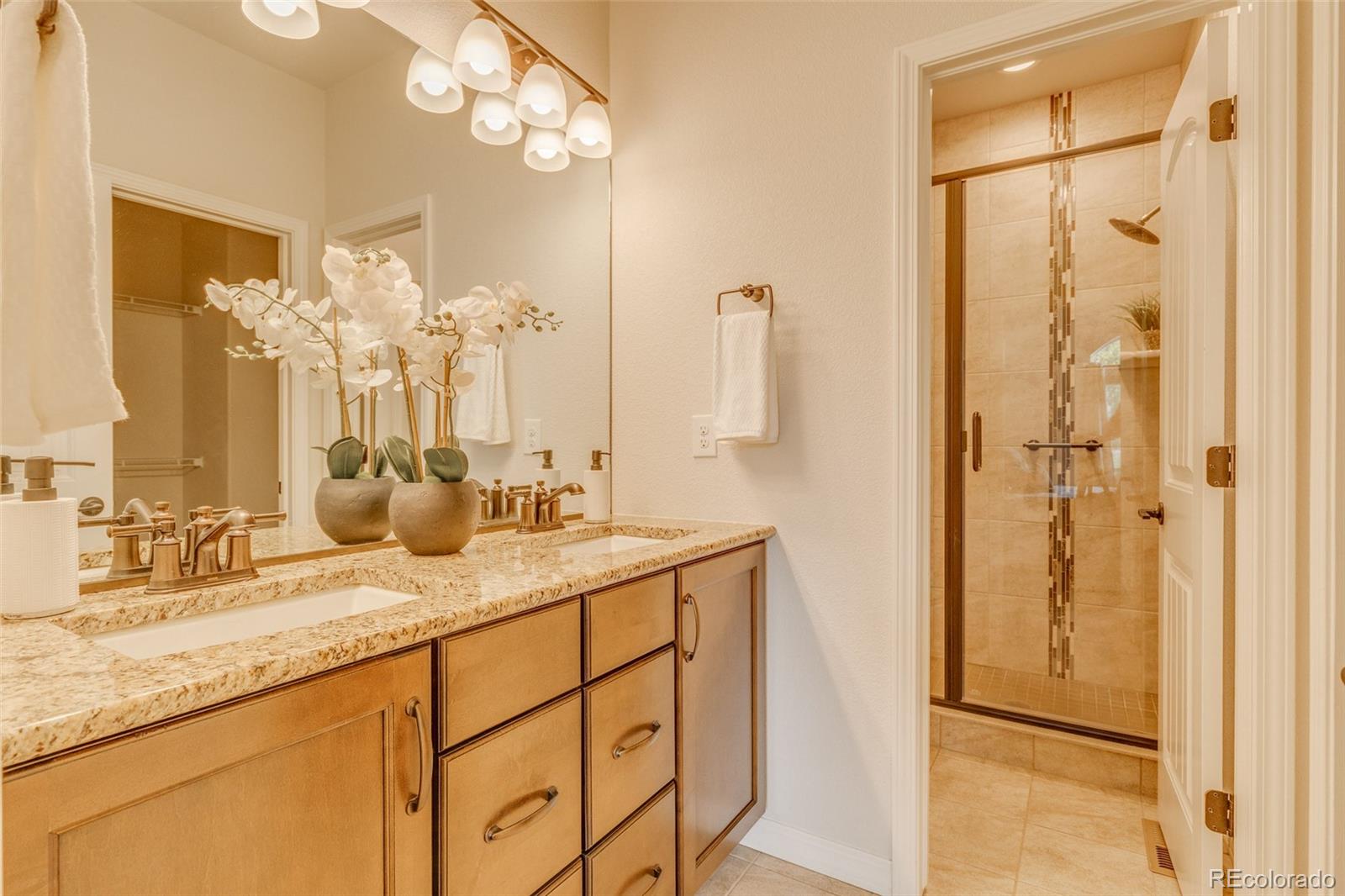 MLS Image #15 for 7543  bandana way,colorado springs, Colorado