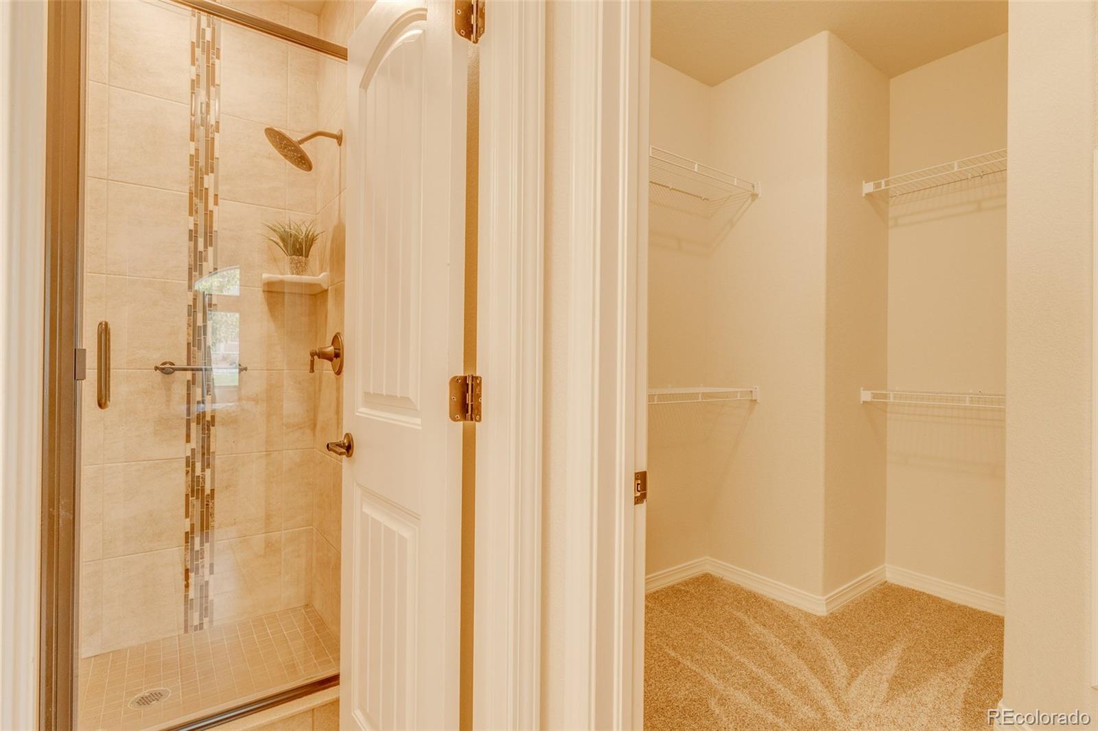 MLS Image #17 for 7543  bandana way,colorado springs, Colorado