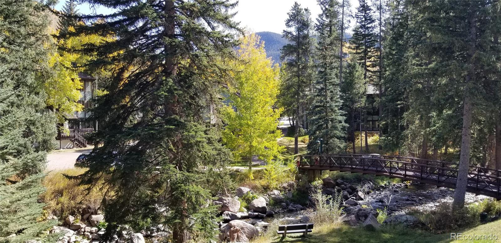 MLS Image #22 for 4650  vail racquet club drive,vail, Colorado