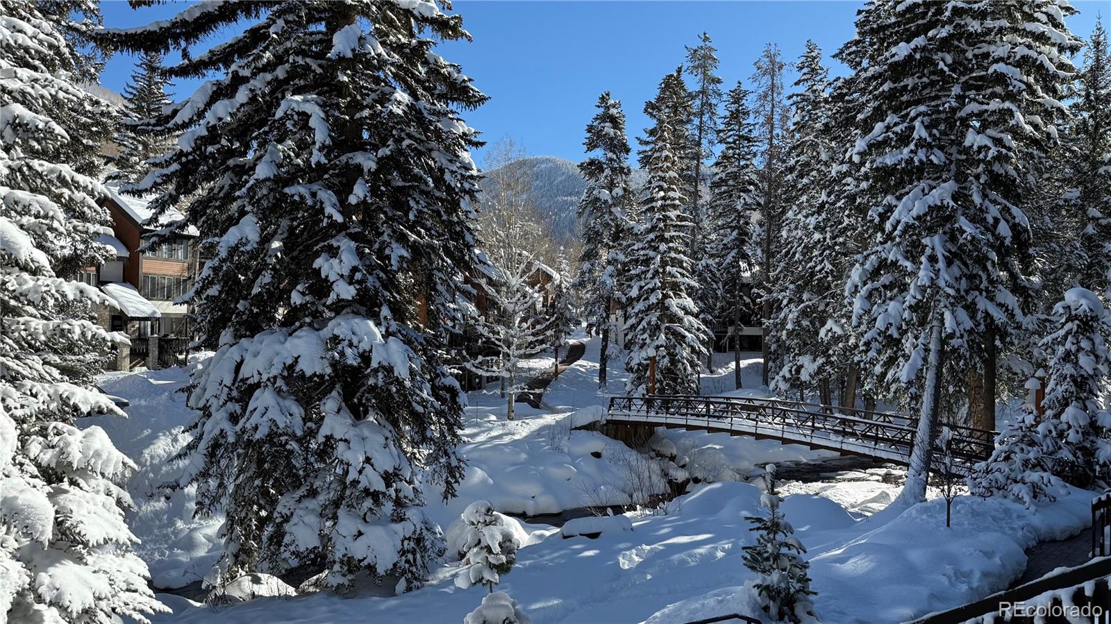 MLS Image #23 for 4650  vail racquet club drive,vail, Colorado