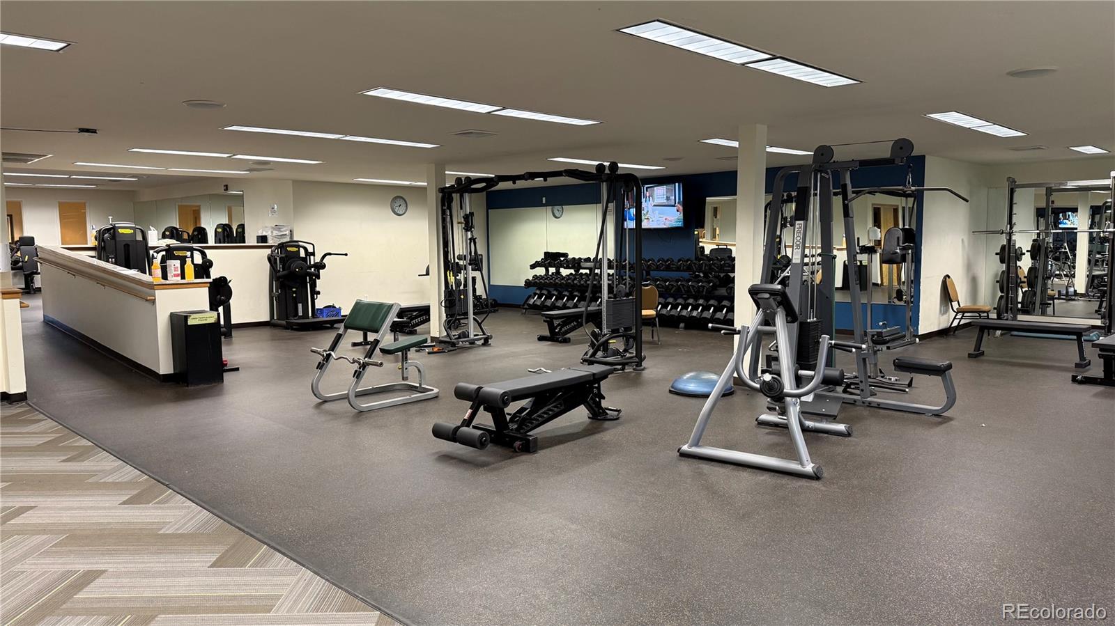 MLS Image #29 for 4650  vail racquet club drive,vail, Colorado