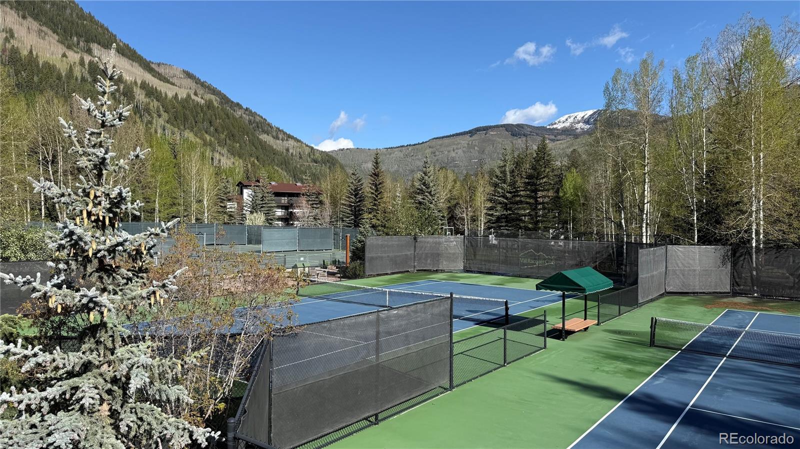 MLS Image #33 for 4650  vail racquet club drive,vail, Colorado