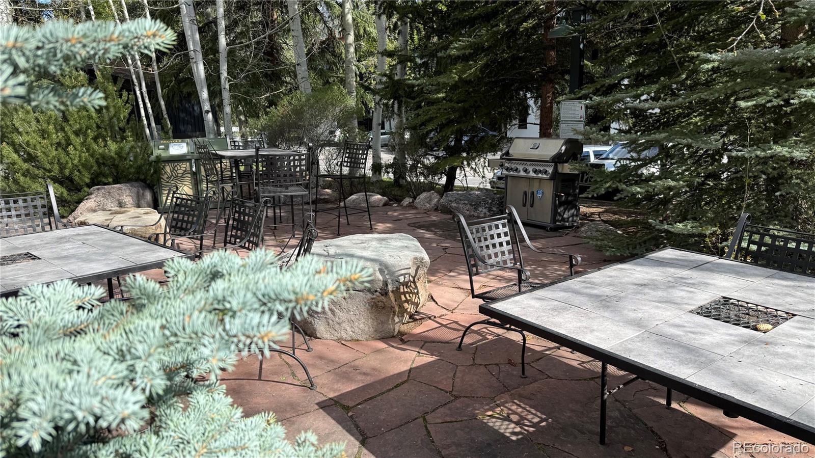 MLS Image #37 for 4650  vail racquet club drive,vail, Colorado